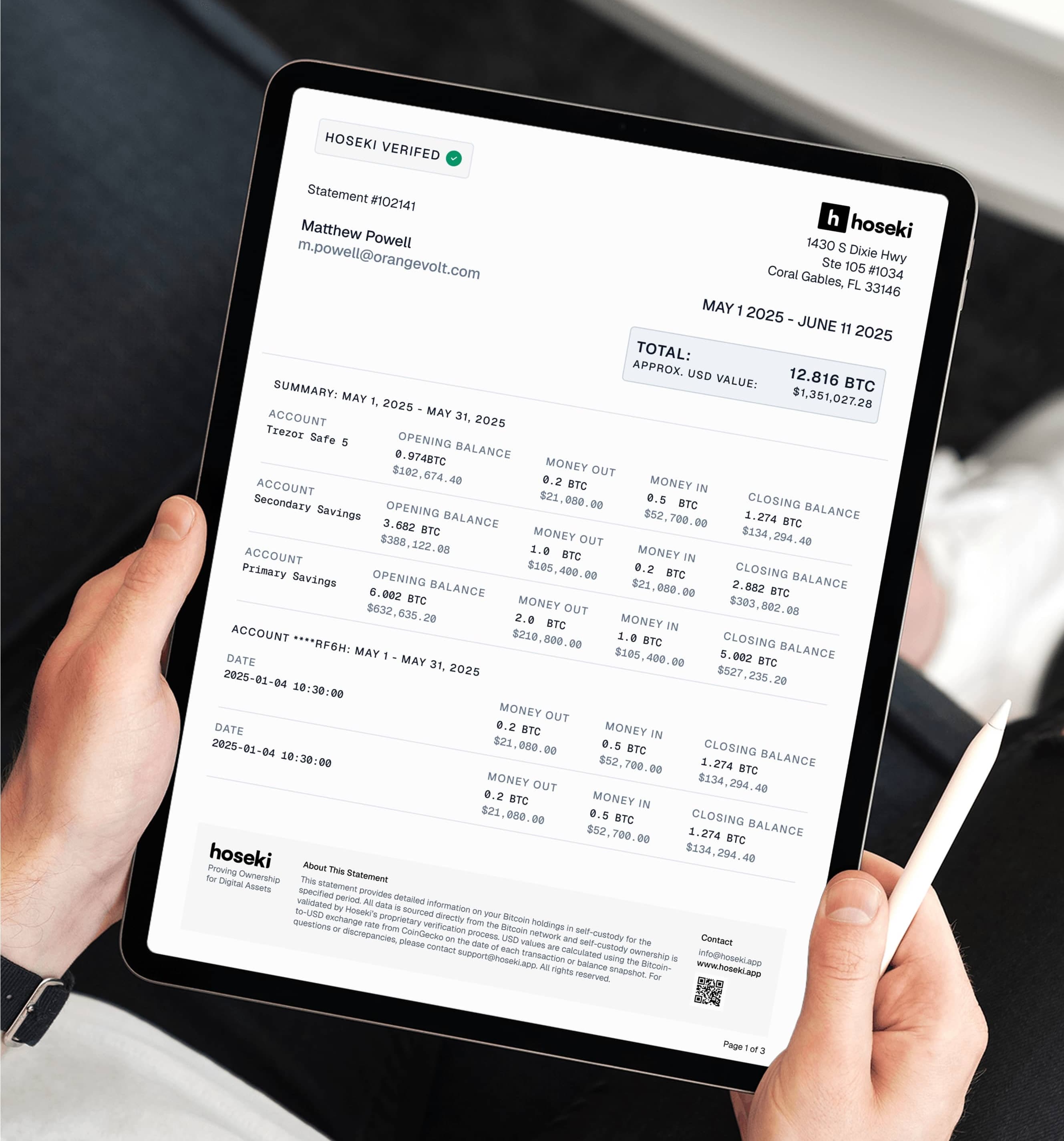 Statement generated by Hoseki Prove being shown on a tablet device