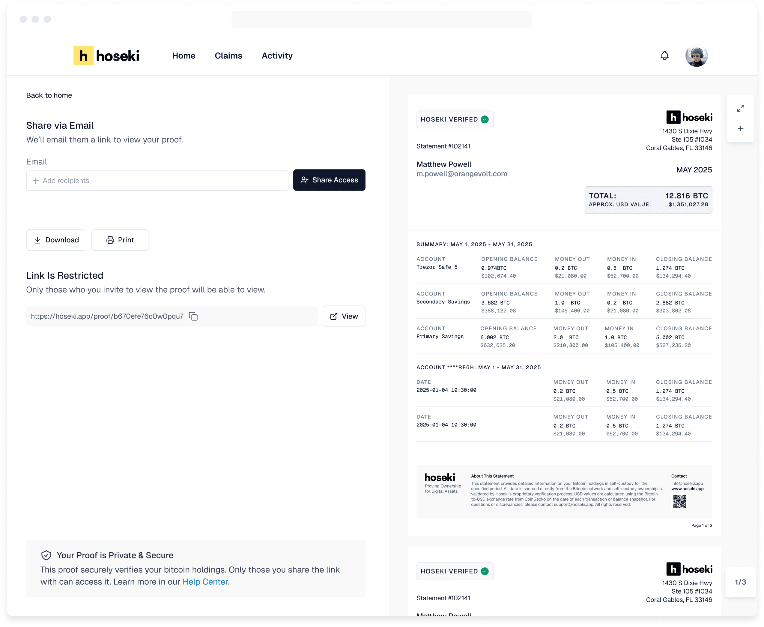 Browser Statement Preview
